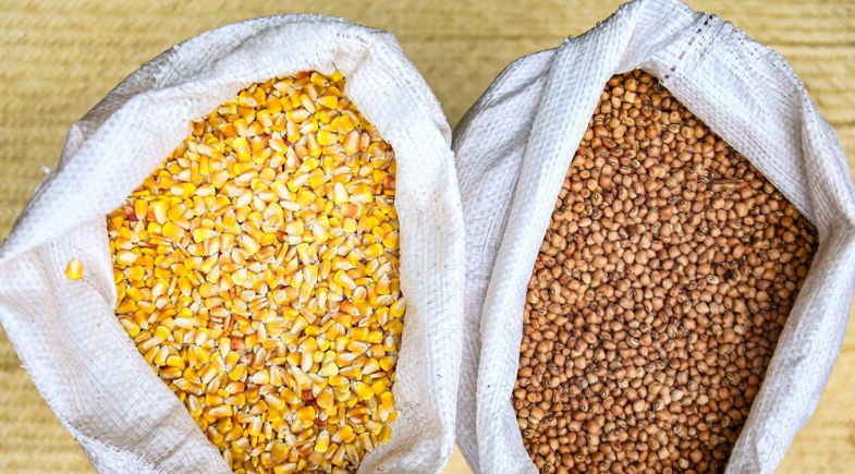 Prefeitura de Arraial realizará entrega de sementes para agricultores do município 