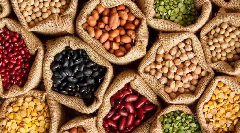 Prefeitura de Esperantina promove entrega de sementes para agricultores locais 