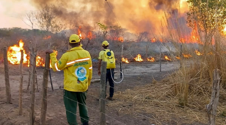 Brigada de incêndio já combateu cerca de 20 incêndios em três meses em Hugo Napoleão
