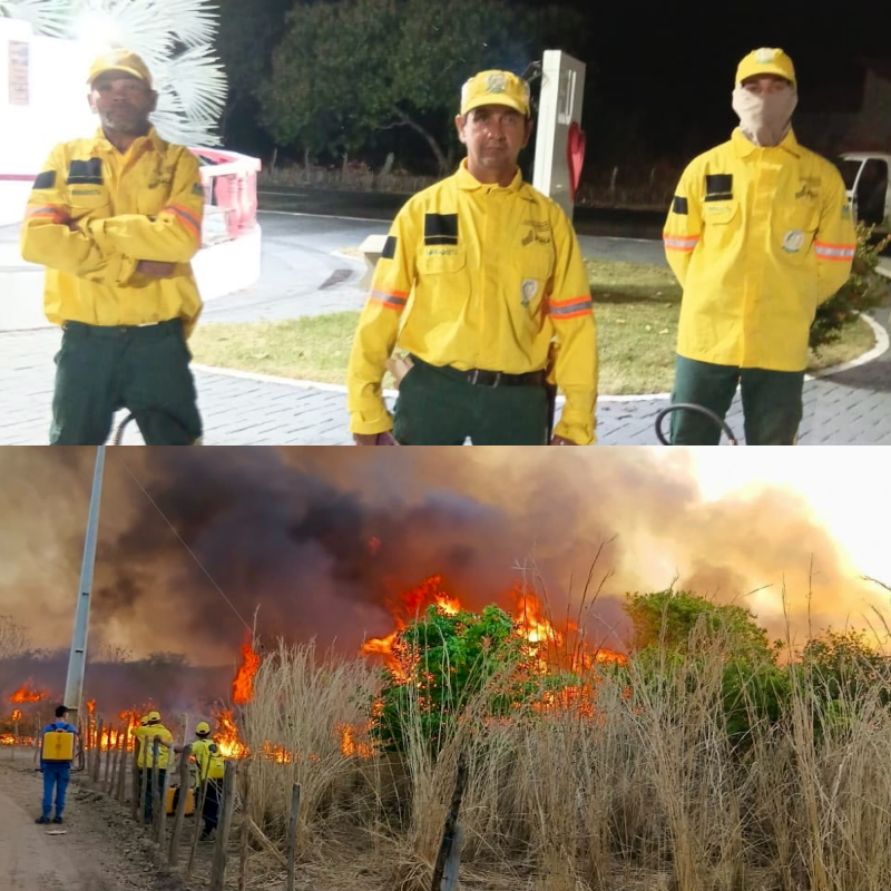  Brigada de Incêndio de Hugo Napoleão já combateu cerca de 20 incêndios nos últimos três meses - Divulgação/ASCOM Brigada de Incêndio de Hugo Napoleão já combateu cerca de 20 incêndios nos últimos três meses - Divulgação/ASCOM