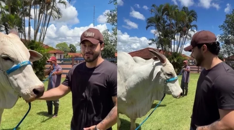 Murilo Huff se encontra pela 1ª vez com vaca de R$ 54 milhões que comprou