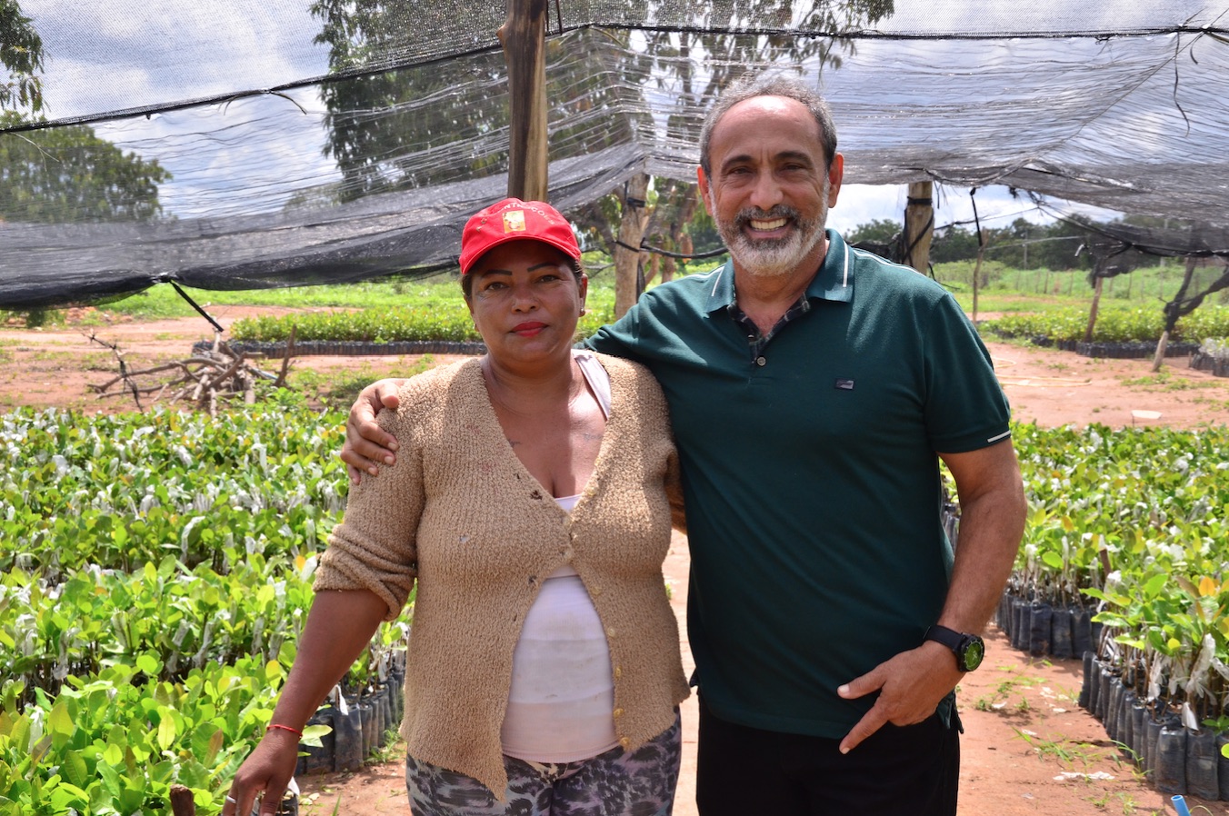 Prefeitura de Santo Antônio de Lisboa inicia distribuição de 28 mil mudas de caju e fortalece agricultura familiar - Imagem 1