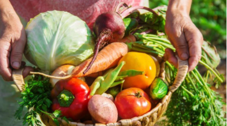 Prefeitura de Ribeiro Gonçalves abre Chamada Pública para agricultura familiar