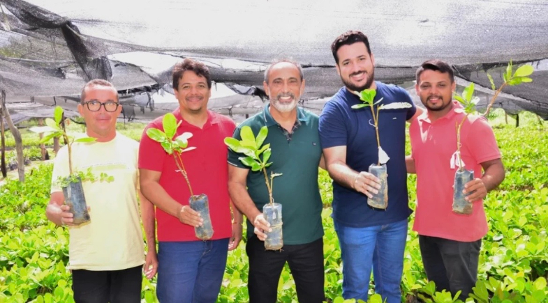 Prefeitura de Santo Antônio de Lisboa inicia distribuição de 28 mil mudas de caju para fortalecer a agricultura familiar
