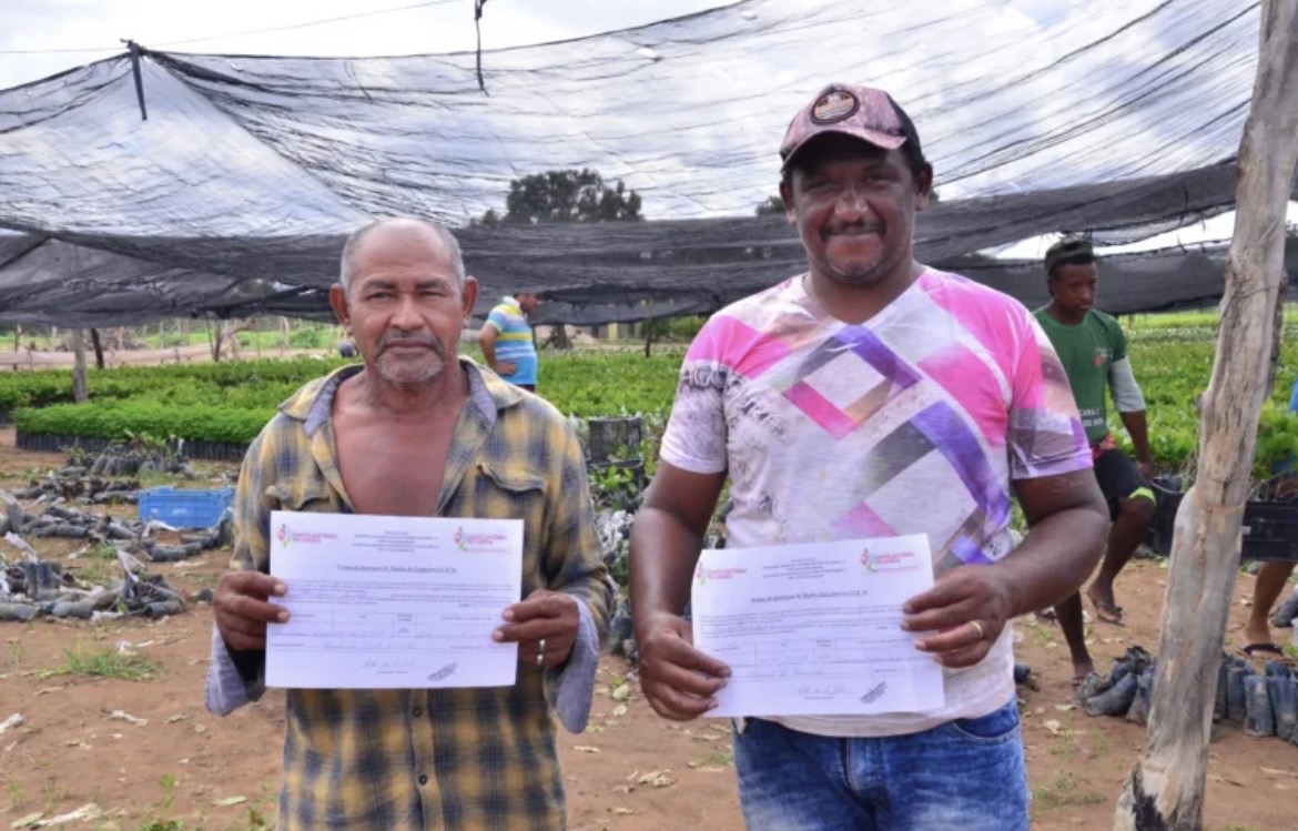 Prefeitura de Santo Antônio de Lisboa inicia distribuição de 28 mil mudas de caju para fortalecer a agricultura familiar - Imagem 4