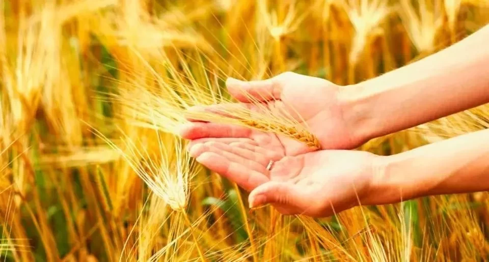 Uma nova era de abundância começa agora para esses 3 signos do zodíaco  - imagem 138854