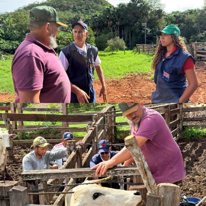 Programa Piauí + Genética começa a atender produtores no Povoado Vão do Nego - Divulgação/ASCOM