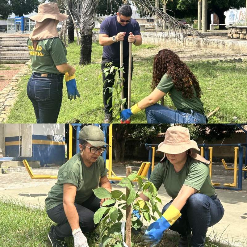 Praças e espaços públicos de Floriano recebem plantio de espécies nativas e frutíferas - Foto: Prefeitura de Floriano