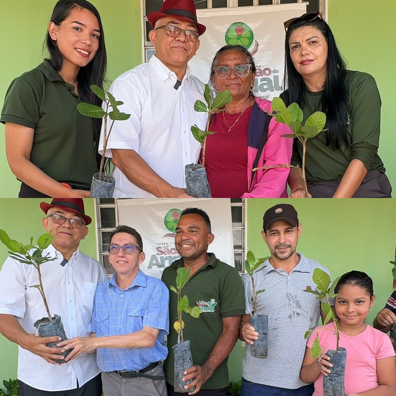 Distribuição de mudas de caju impulsiona agricultura familiar em São João do Arraial | Divulgação/Secom