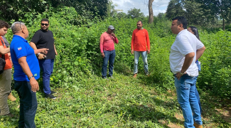 Prefeitura de Uruçuí inicia produção de silagem no distrito de Tucuns