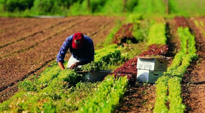 Prefeitura de São João do Piauí inicia pagamento do Garantia Safra 2024/2025 para agricultores familiares