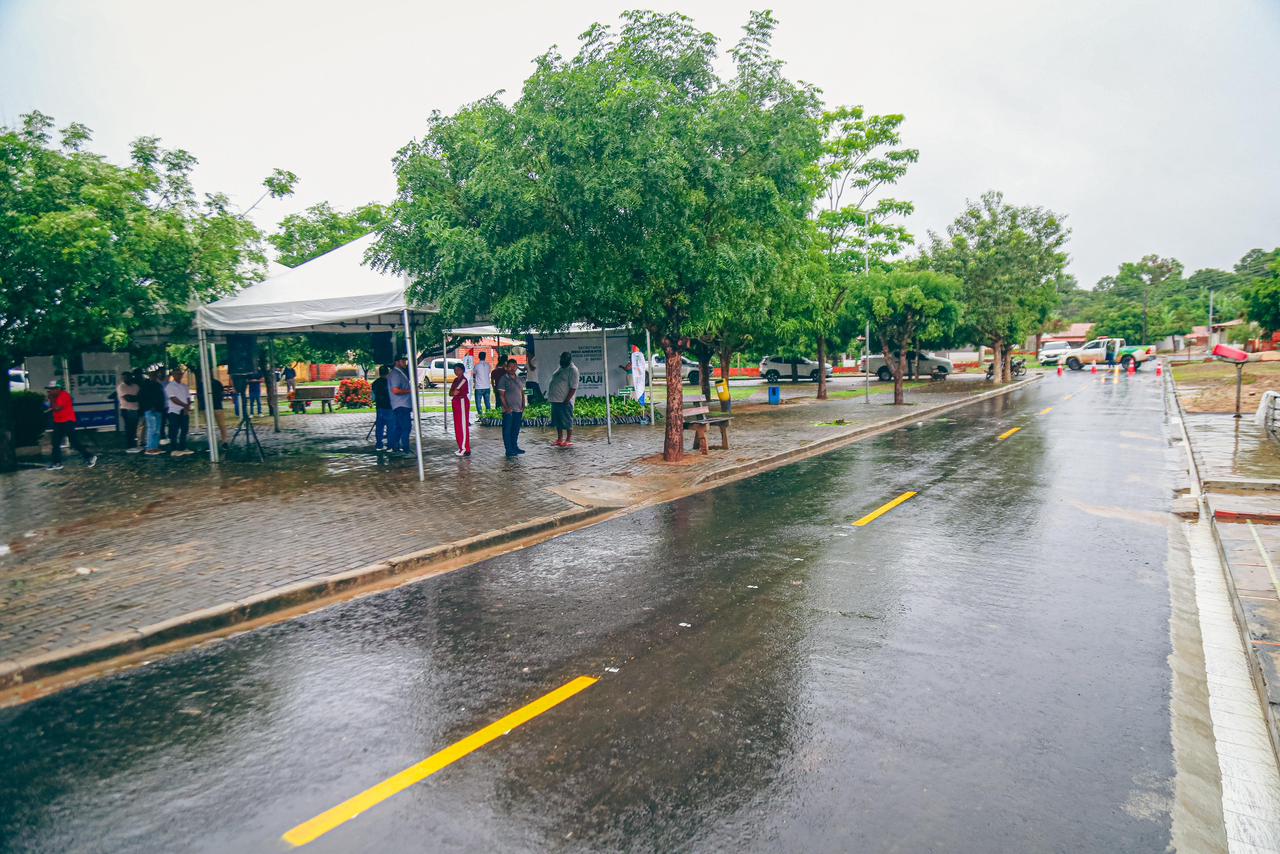 Jardim do Mulato inaugura mais de 13 mil m² de pavimentação asfáltica e distribui mudas nativas e frutíferas - Imagem 5