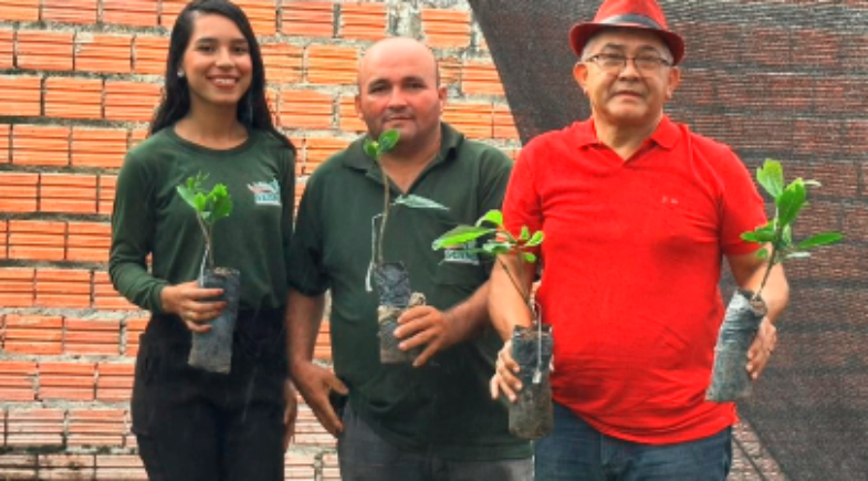 São João do Arraial recebe 2.500 mudas de caju para fortalecer agricultura familiar