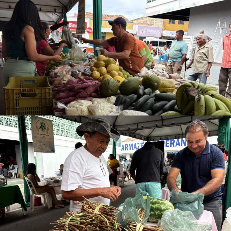 IV edição da Feira da Fartura em Esperantina - Divulgação/Ascom