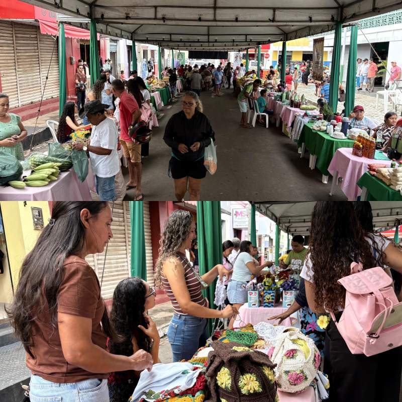 IV edição da Feira da Fartura em Esperantina - Divulgação/AscomIV edição da Feira da Fartura em Esperantina - Divulgação/Ascom