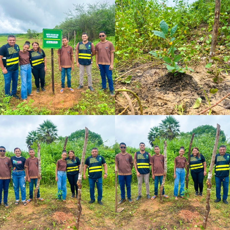 Agricultura familiar e conservação ambiental avançam em Colônia do Piauí | Divulgação/SecomAgricultura familiar e conservação ambiental avançam em Colônia do Piauí | Divulgação/Secom