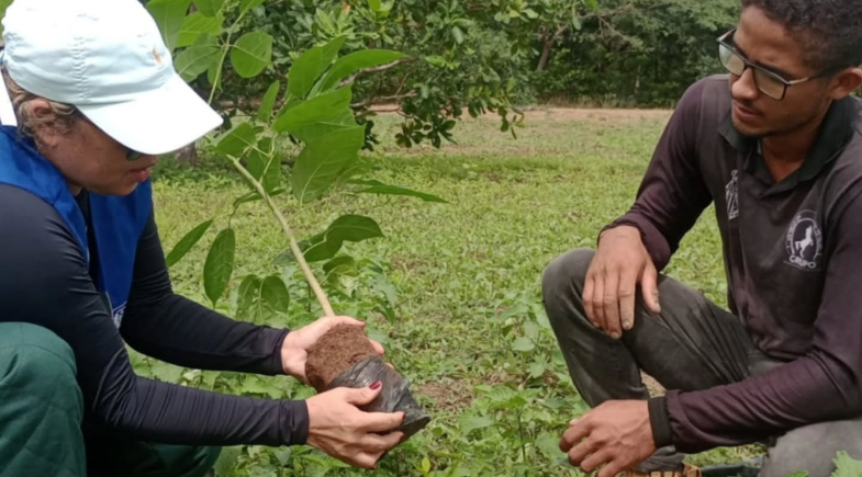 São Miguel da Baixa Grande executa medidas de preservação e restauração ambiental