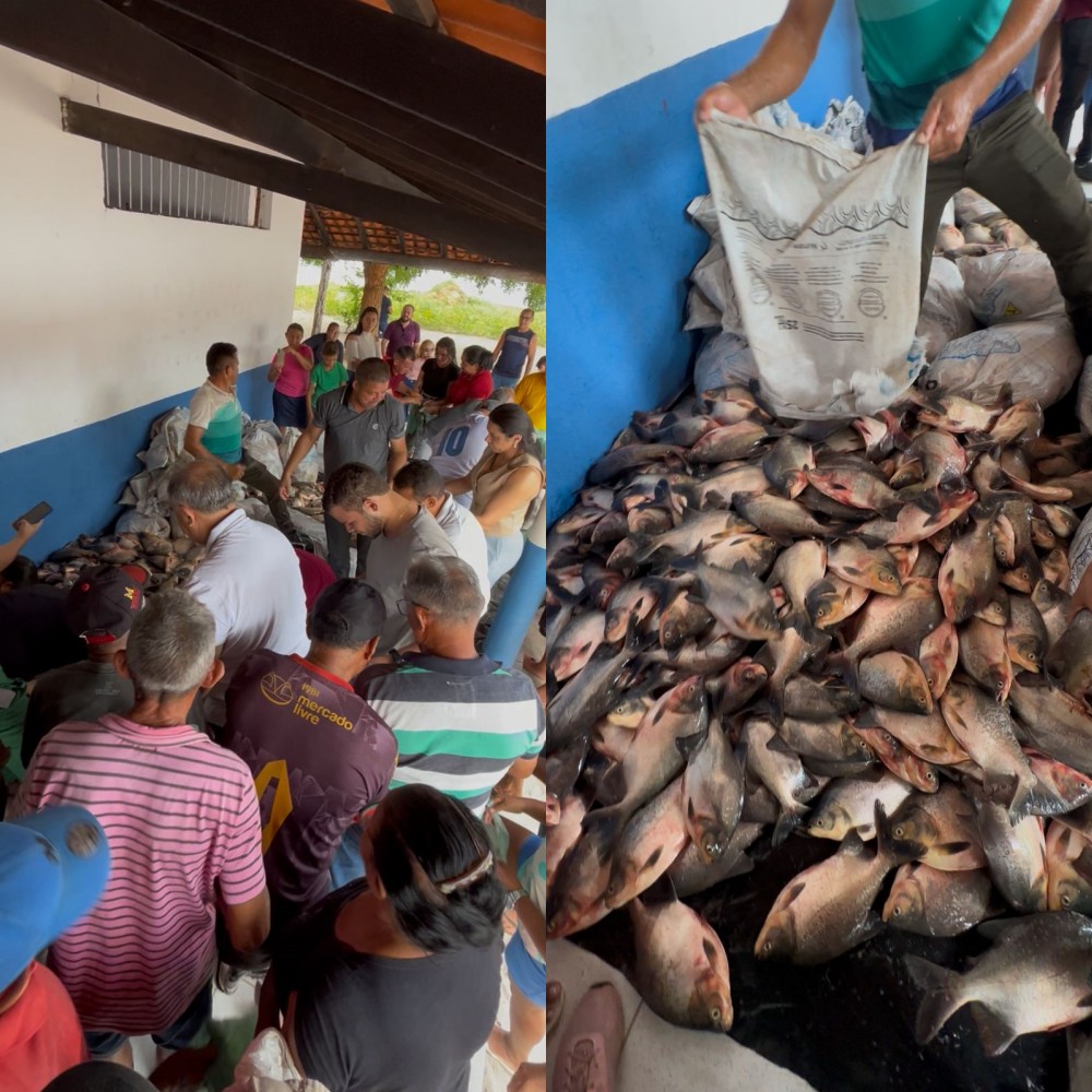 Tradicional distribuição de peixes beneficia população de Pau D’Arco do Piauí - Imagem 1