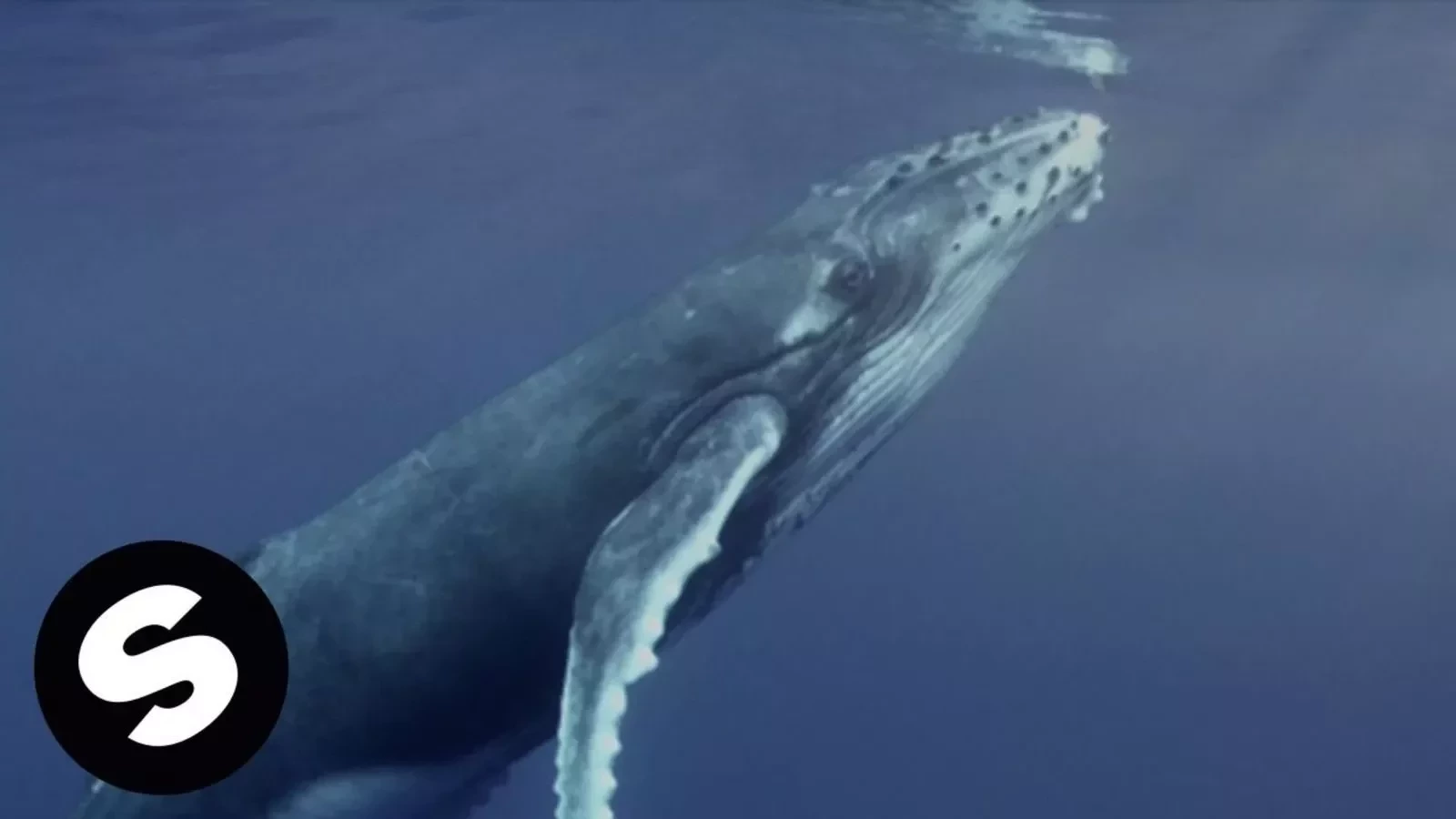 Conheça os maiores sucessos de Alok: hits que marcaram a carreira do DJ - imagem 142228