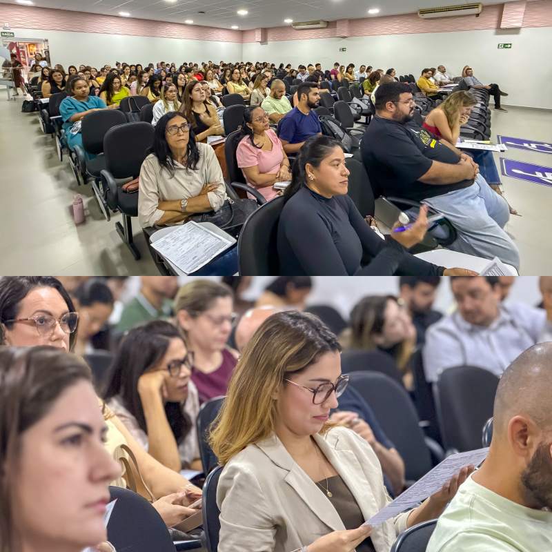 Parnaíba realiza capacitação sobre manejo clínico da dengue e reforça ações de prevenção no município - Divulgação/ASCOM