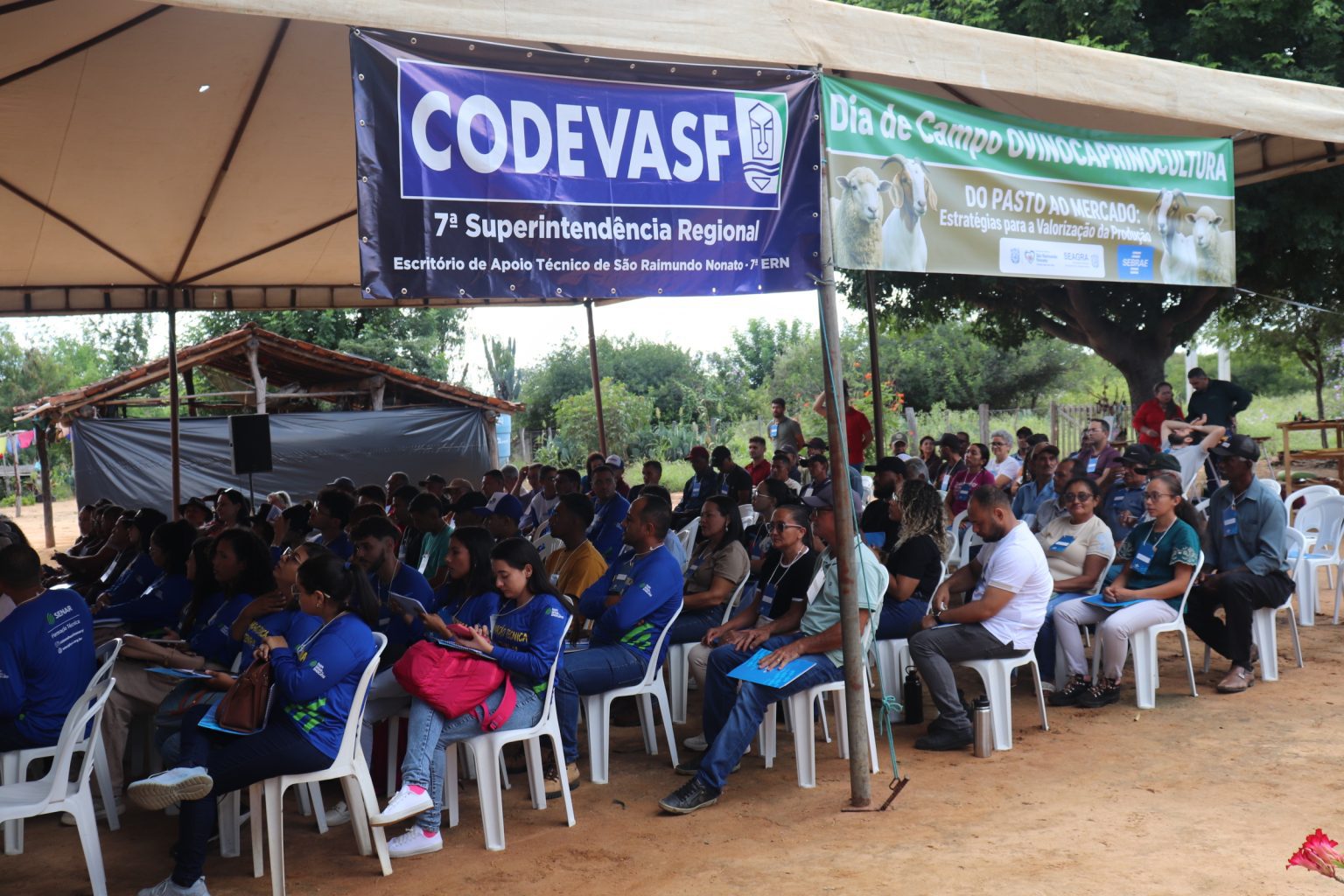 Dia de Campo fortalece ovinocaprinocultura em São Raimundo Nonato - Divulgação/ASCOMDia de Campo fortalece ovinocaprinocultura em São Raimundo Nonato - Divulgação/ASCOM