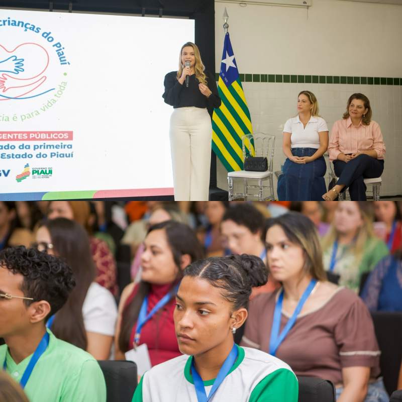 Curso de Agentes Públicos para o Cuidado da Primeira Infância no Estado do Piauí - Divulgação/ASCOM