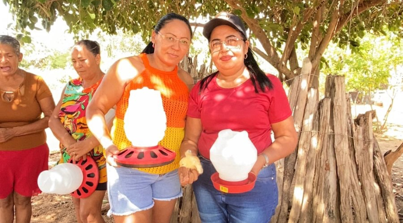 Prefeitura de Arraial fortalece agricultura familiar com Projeto Fomento Rural Municipal