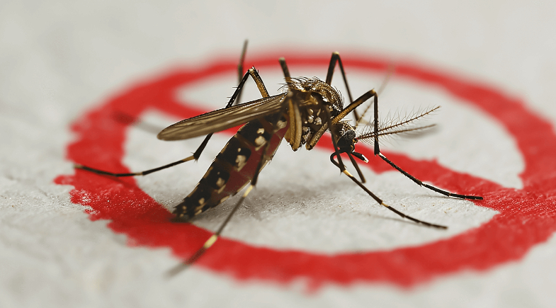 Secretaria de Saúde de Pimenteiras promove ação contra o mosquito da dengue