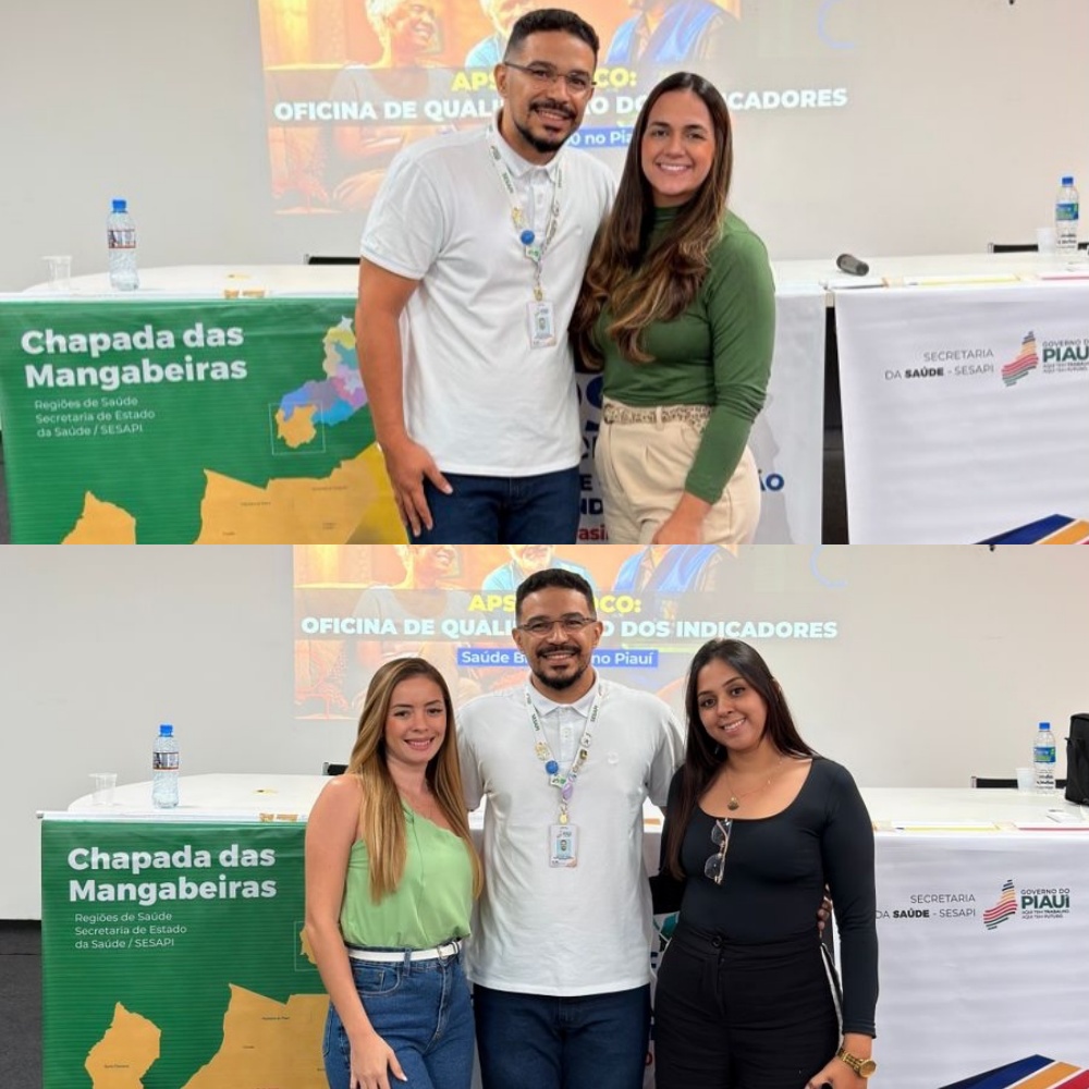 Secretaria de Saúde de Avelino Lopes participa de oficina de qualificação em Bom Jesus - Imagem 1
