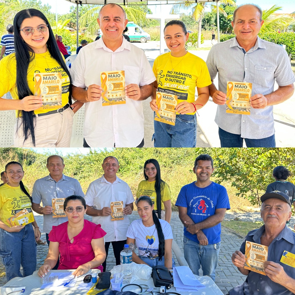 Prefeitura de Jardim do Mulato promove dia de cidadania e serviços de saúde no povoado Inhuma - Imagem 2