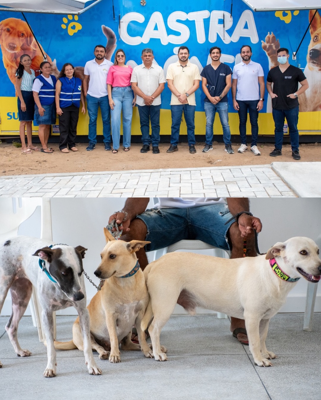 Lagoa do Barro promove ação de castração de cães e gatos no Centro de Zoonoses | Divulgação/Ascom