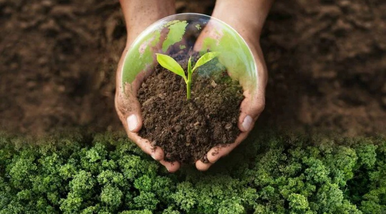 Água Branca conquista Selo A do ICMS Ecológico pelo quinto ano consecutivo