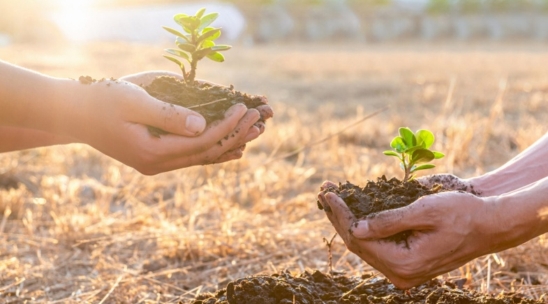 Caraúbas do Piauí conquista Selo A do ICMS Ecológico pela sexta vez consecutiva