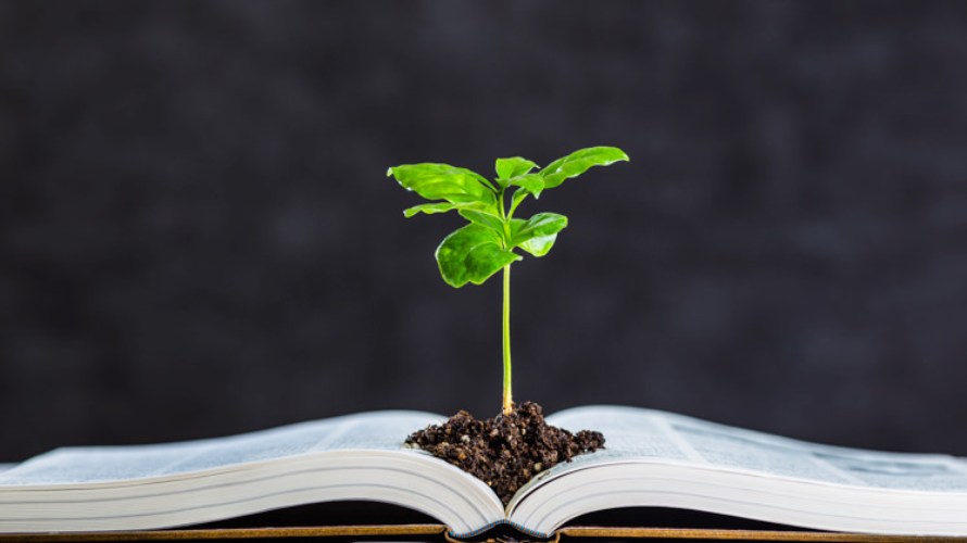 O ensino sobre as mudanças climáticas tornou-se imprescindível.  | Iberdrola