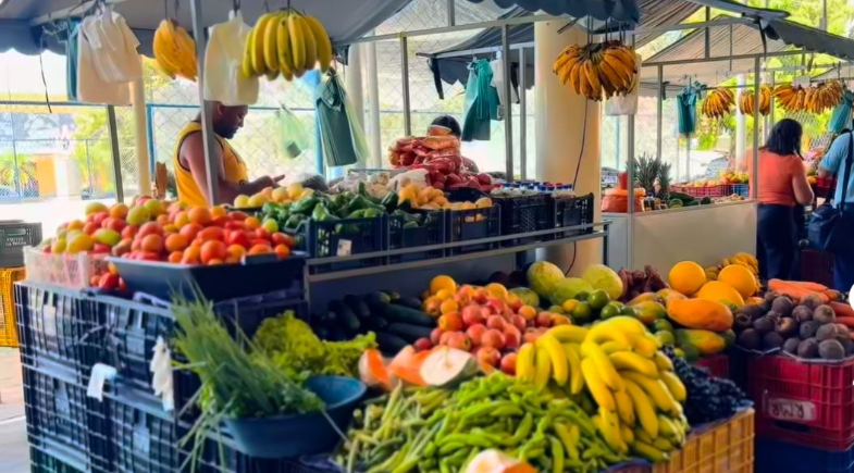 Prefeitura de União realiza melhorias estruturais no Mercado Público
