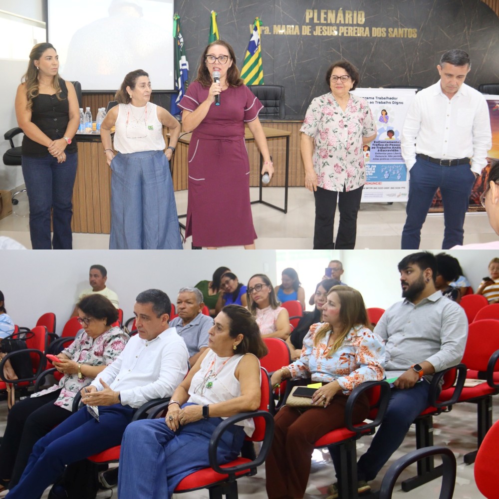 Assistência Social de Monsenhor Gil participa de treinamento da Rede de Enfrentamento ao Trabalho Escravo - Imagem 2