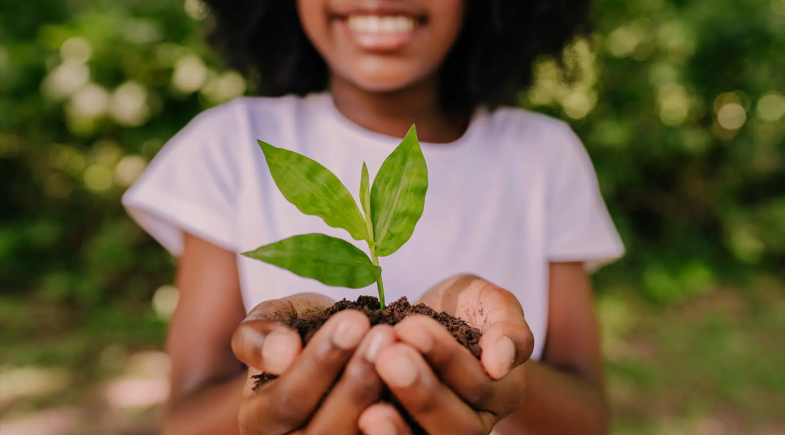 Francisco Santos conquista Selo Ambiental B e amplia acesso aos recursos do ICMS Ecológico