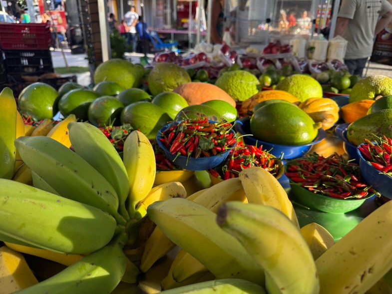 Feira da Agricultura Familiar será realizada em Buriti dos Montes no dia 26 de junho