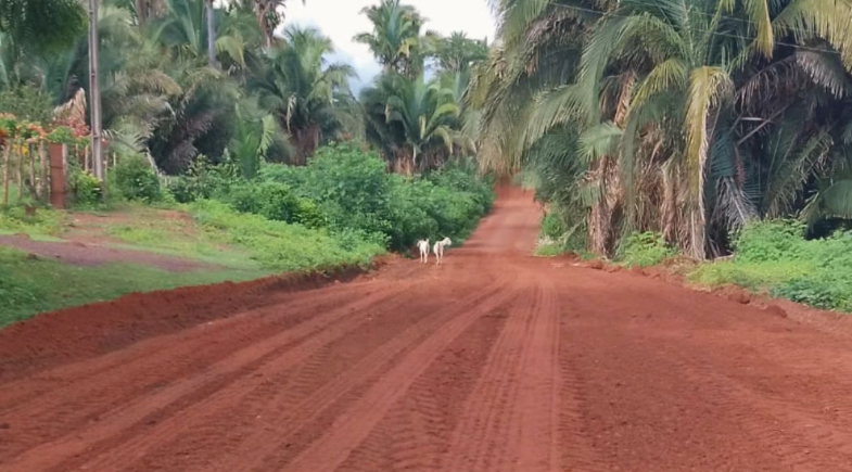 ‘Caminhos da União’ transforma mobilidade e aproxima comunidades rurais dos serviços públicos e do comércio