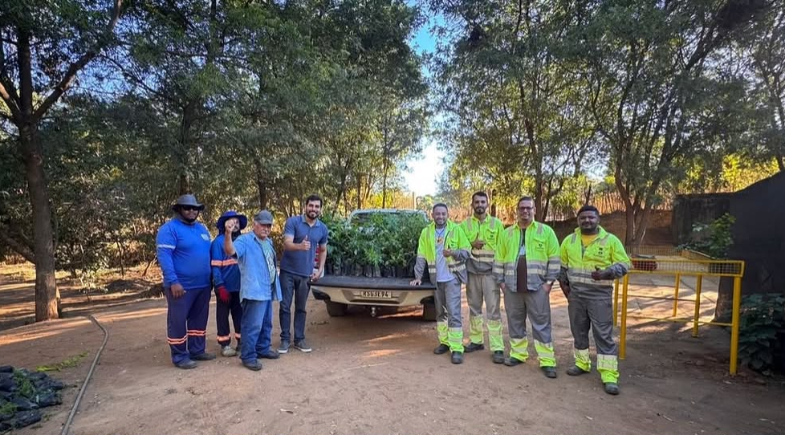 Prefeitura de Caracol recebe 300 mudas para ações de arborização no município