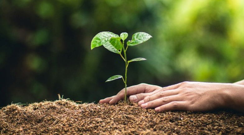 Prefeitura de Cocal de Telha conquista Selo A no ICMS Ecológico