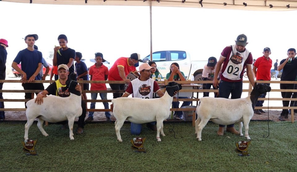 Simplício Mendes encerra Festa dos Vaqueiros e IV ExpoSimplício com programação cultural, agropecuária e grande participação popular - Imagem 2