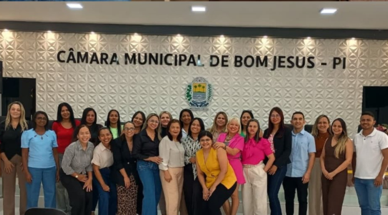 Assistência Social de Eliseu Martins participa de oficina do Pacto Nacional de Prevenção aos Feminicídios