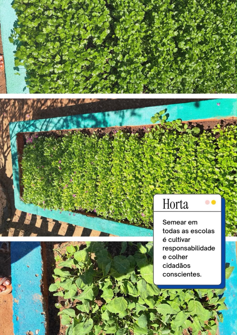  Hortas escolares fortalecem educação ambiental - Divulgação/ASCOM