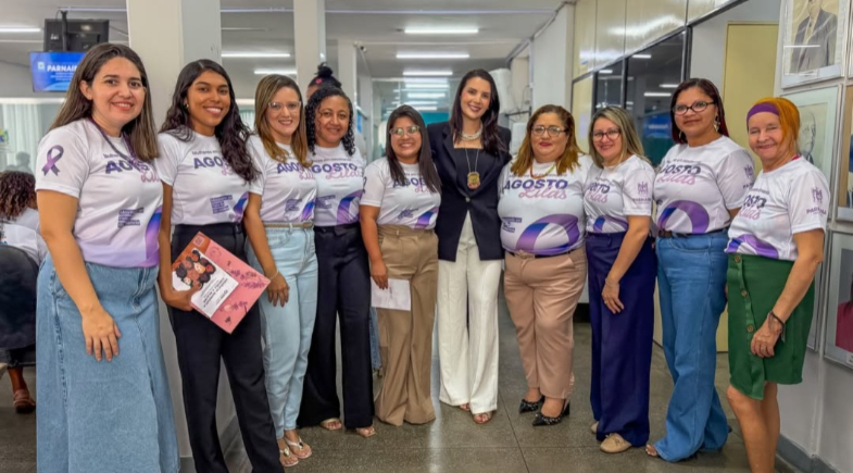 Audiência pública debate enfrentamento à violência contra a mulher em Parnaíba