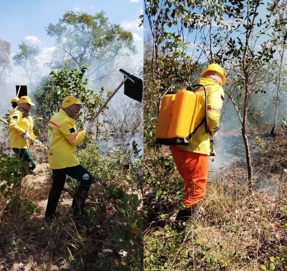 Brigada Municipal atua no combate a queimada em São Gonçalo do Gurguéia - Imagem 1