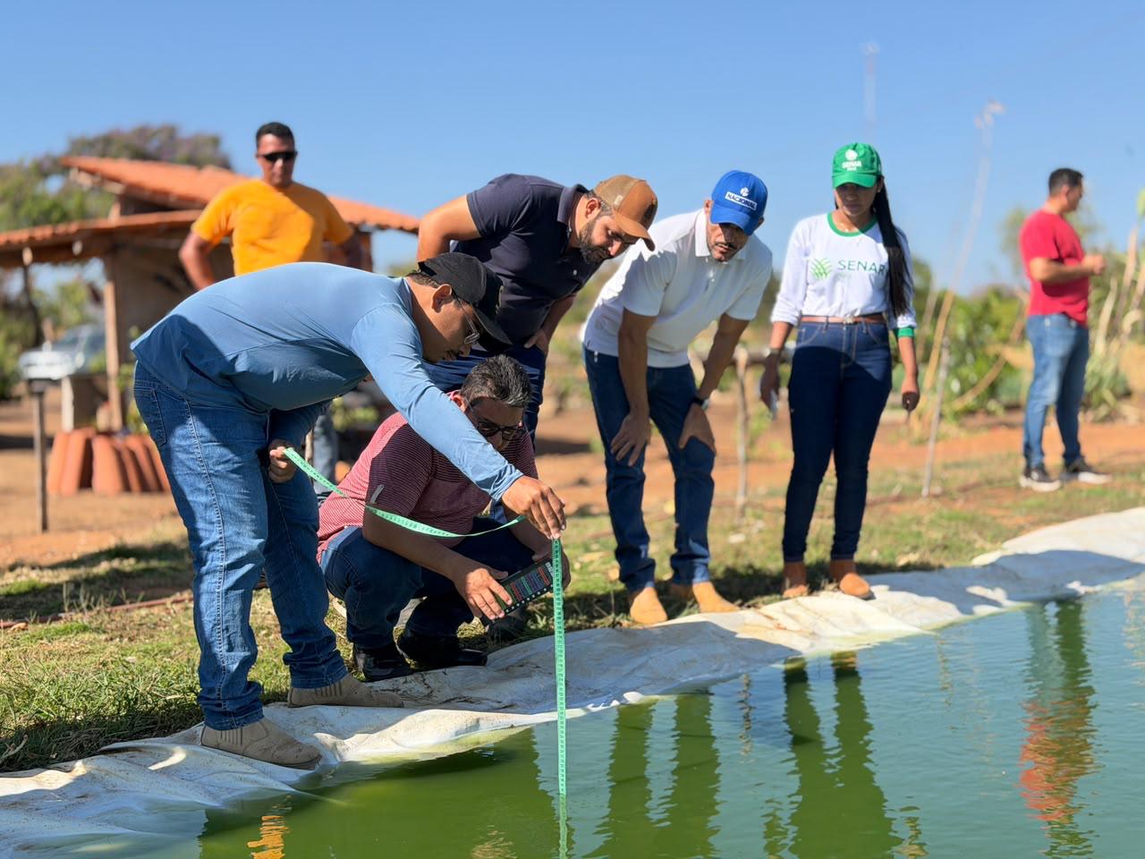 Agricultura em Ribeiro Gonçalves - Divulgação/ASCOM