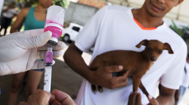 Dia D de vacinação antirrábica: saiba onde vacinar o seu animal em José de Freitas