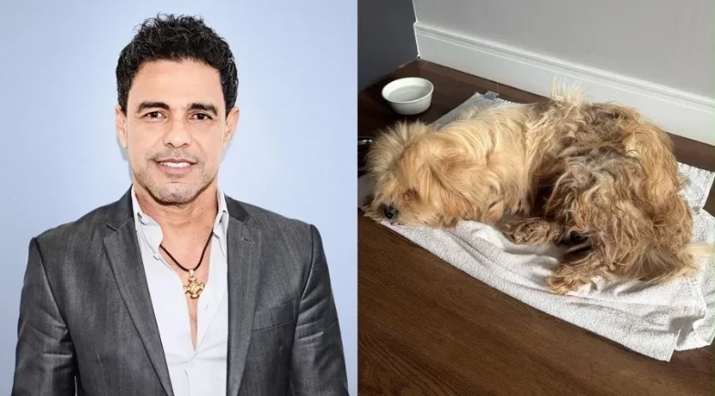 Zezé Di Camargo adota cachorro de rua encontrado em camarim de show