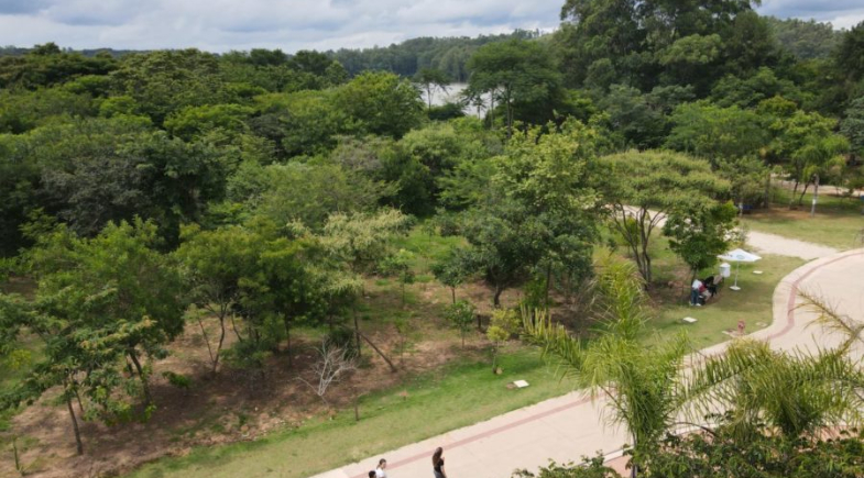 Queimada Nova inicia revitalização da área do antigo lixão com plantio de árvores nativas
